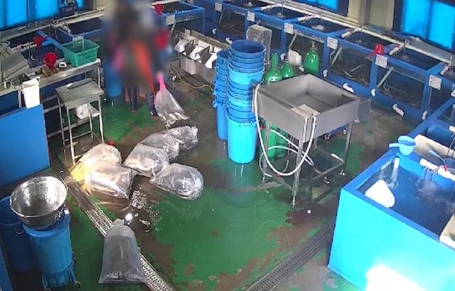 원산지 속여 판 수산업체