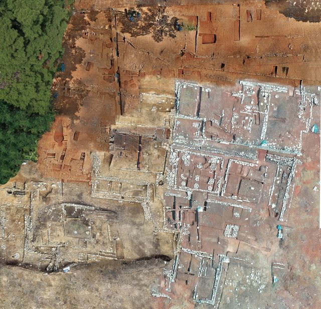 함안 의곡사지 모습