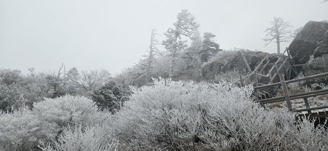 눈 내린 지리산