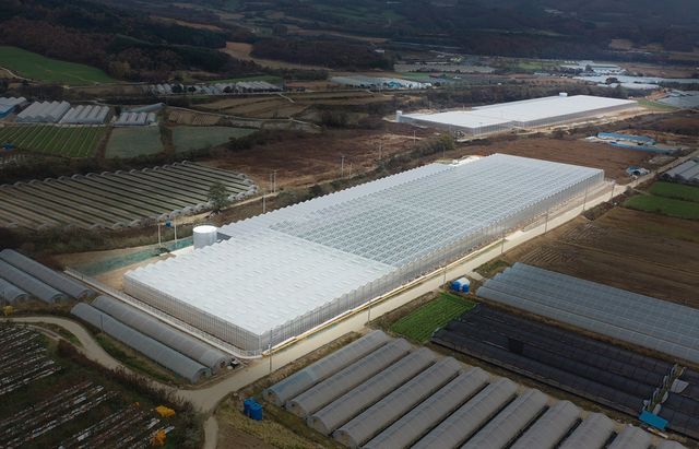 양구군, 지역특화 임대형 스마트팜 준공