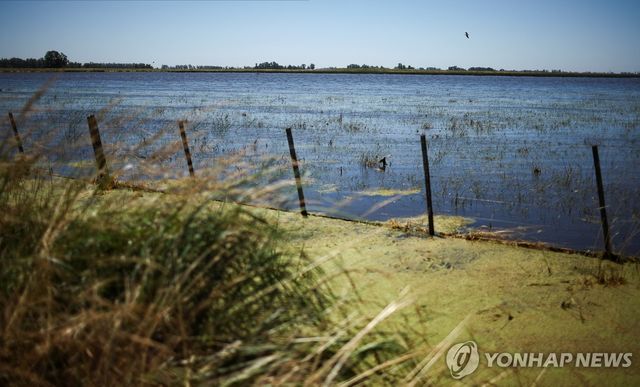 ARGENTINA-FLOODS/GRAINS