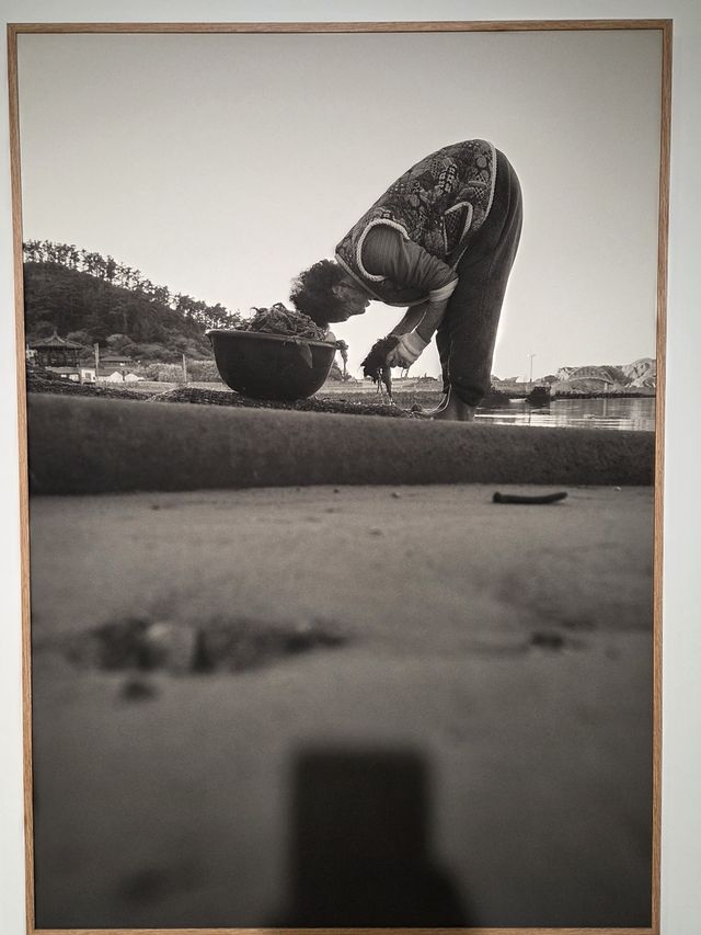 노순택 작 '이판덕 1936년 쥐띠, 진리마을'