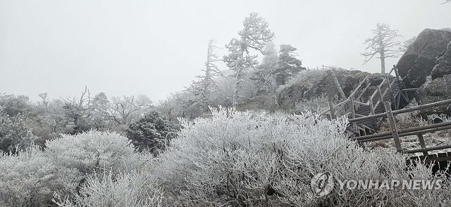 지리산 올해 첫눈