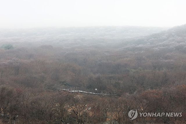 첫눈 내린 한라산 1100고지