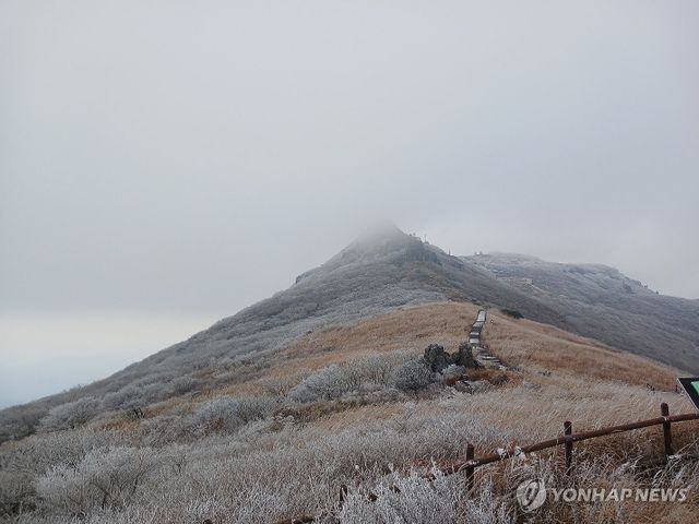 무등산에 핀 올겨울 첫 상고대
