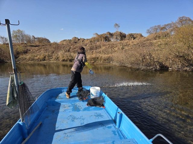 다슬기 치어 방류