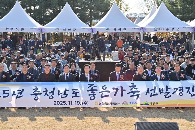 충남 좋은가축 선발 경진대회