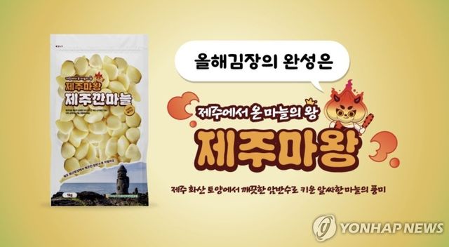제주산 마늘 '제주마왕' 홍보물