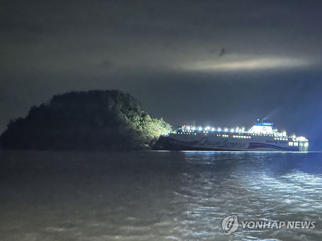 무인도 올라탄 대형 여객선