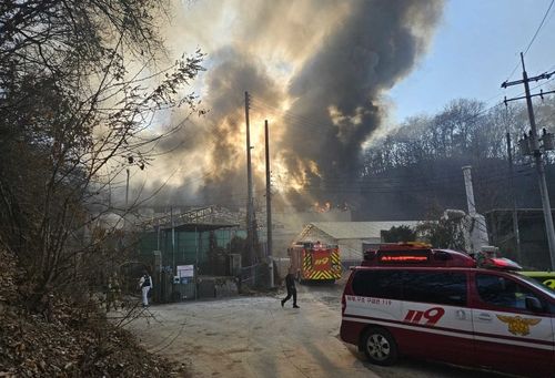 원주 돈사 화재