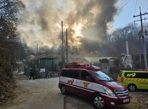 원주 돈사 화재