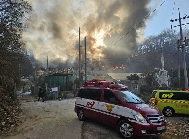 원주 돈사 화재