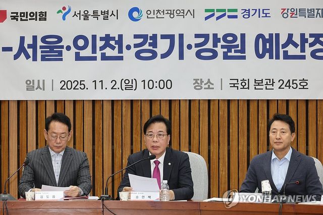 송언석 원내대표 발언