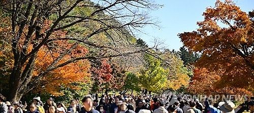 설악산 단풍 구경