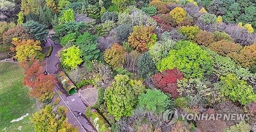 울긋불긋 물든 가을