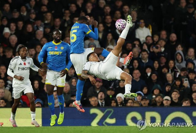 울버햄프턴과 풀럼의 경기 장면.
