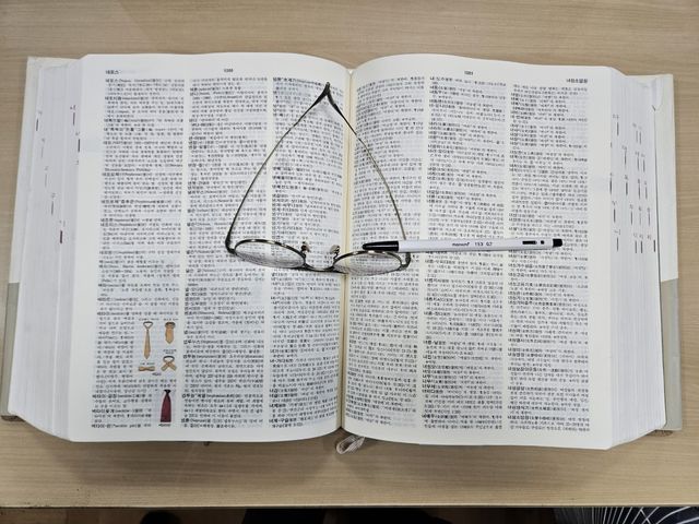 [이런말저런글] '새' 감독과 '새로운' 팀 - 1