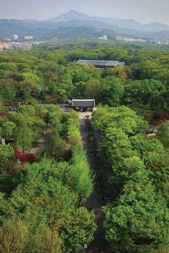 유네스코 세계유산 종묘 전경 