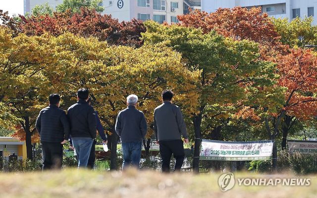 단풍은 가을, 날씨는 겨울