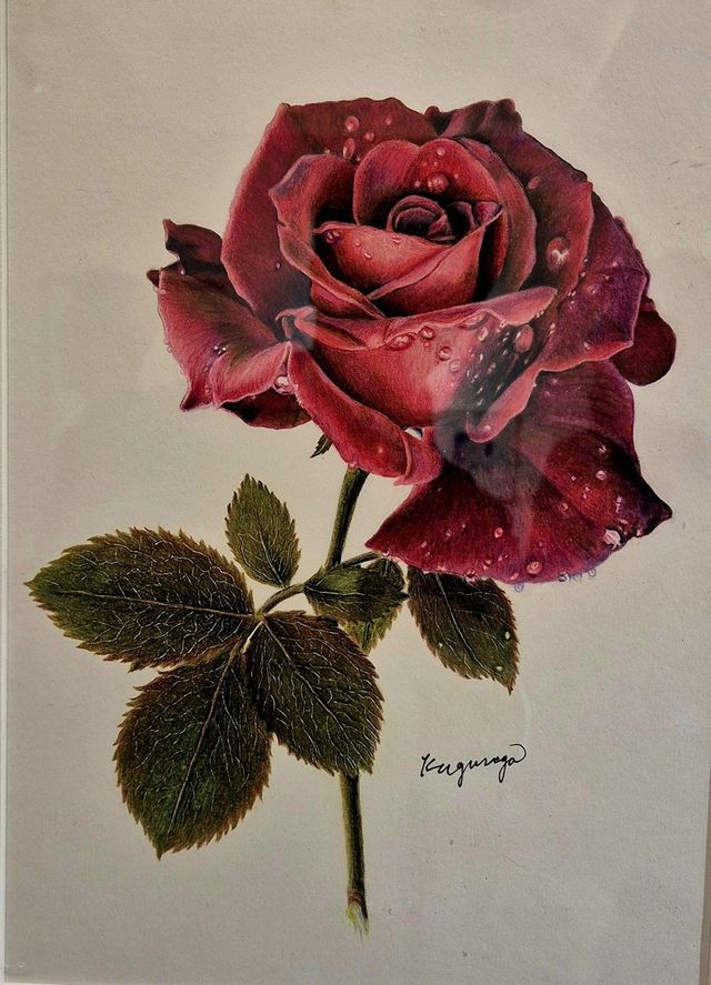 보태니컬 아트 작품