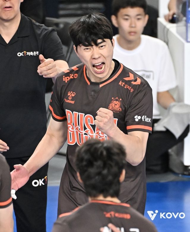 환호하는 전광인