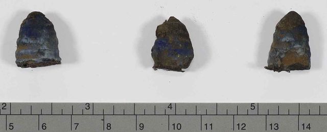 복장에서 발견된 나발