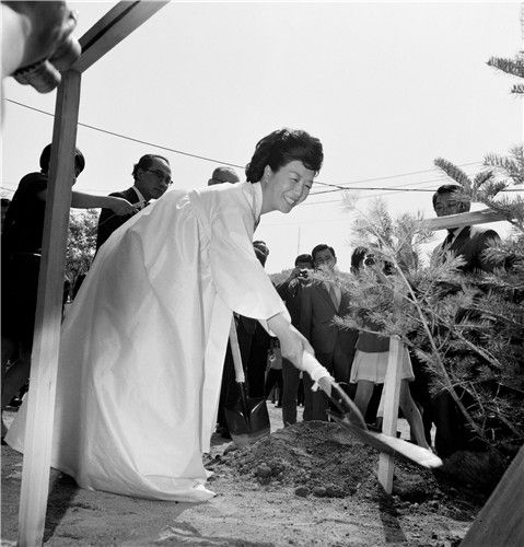 육영수 여사가 기념식수를 하는 모습 