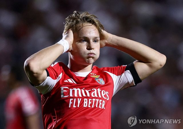 벤피카에서 뛰는 노르웨이 축구대표 안드레아스 시엘데루프.