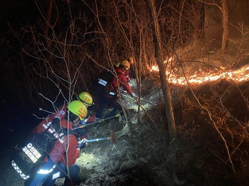 인제 산불 끄고 있는 진화대원