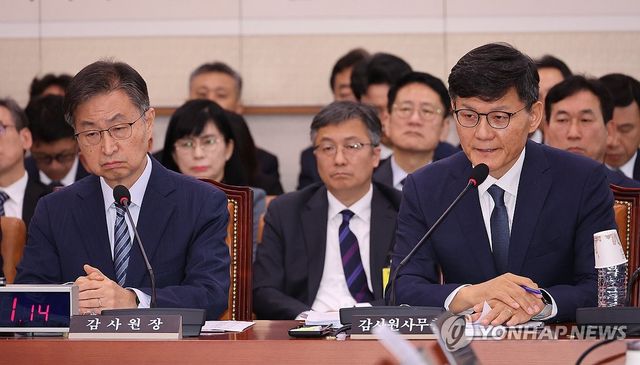 질의에 답하는 정상우 감사원 사무총장