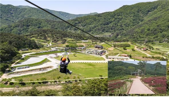 정읍 구절초 테마공원 사계절 활성화 조성사업