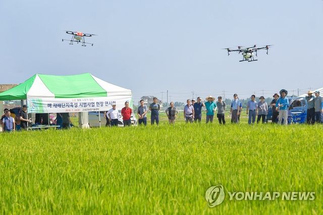 벼 병해충 드론으로 잡는다