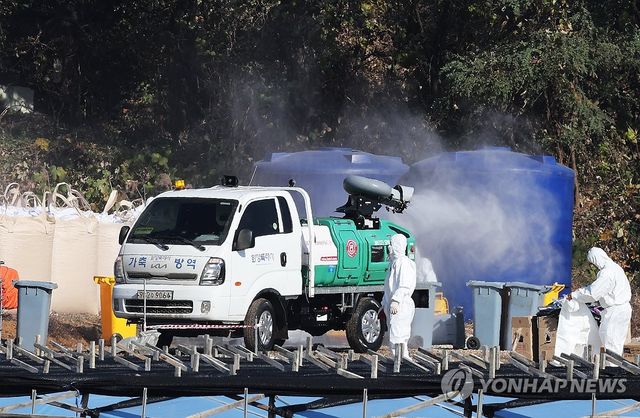 조류인플루엔자 확산 막기 위해 분주한 방역차