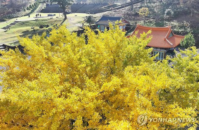 한라산 관음사의 가을