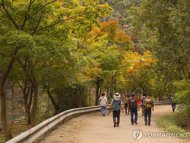 서울대 안양수목원 풍경
