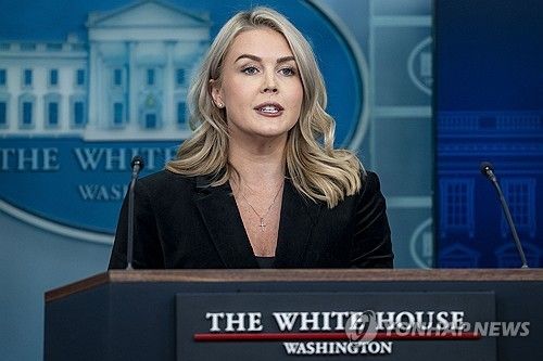20일(현지시간) 브리핑하는 캐롤라인 레빗 백악관 대변인