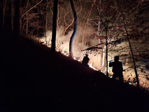 양양 산불 밤새워 진화