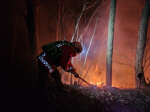 양양 산불 진화