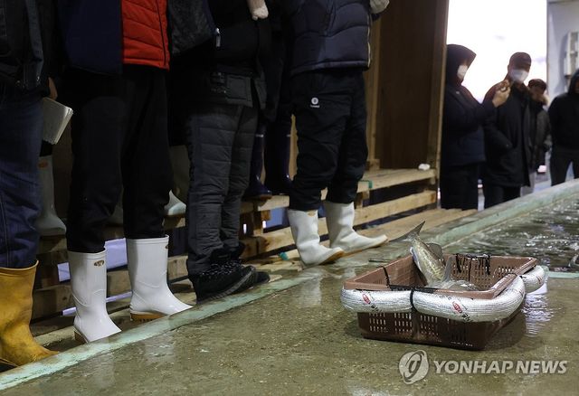 썰렁한 거제수협 외포 위판장