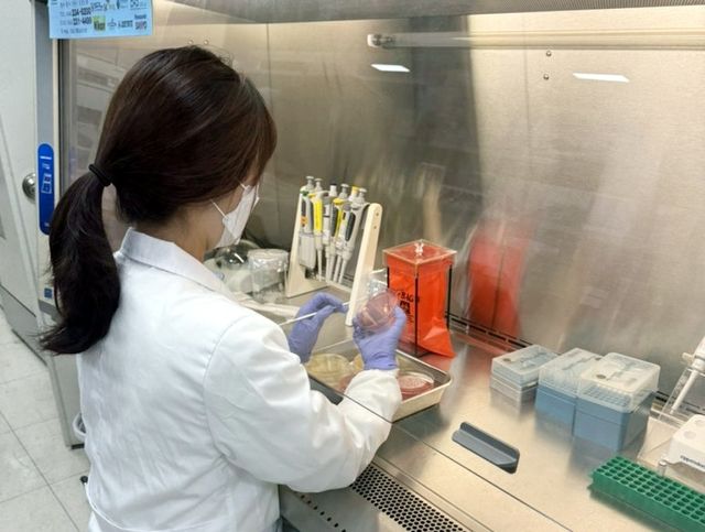 CRE 감염증 검사