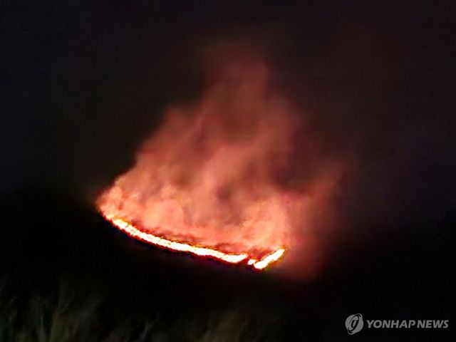 양양 서면서 산불…진화 중