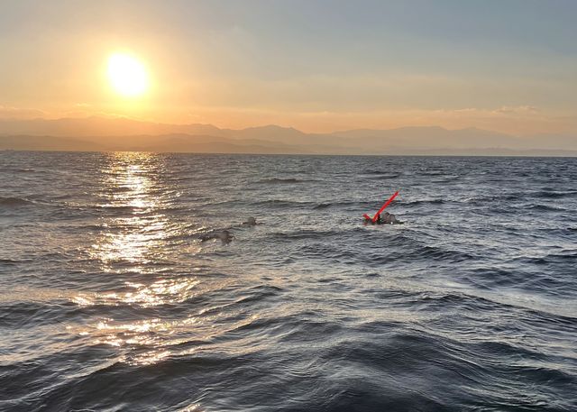 강릉해경, 양양 해상 표류 다이버 4명 긴급 구조