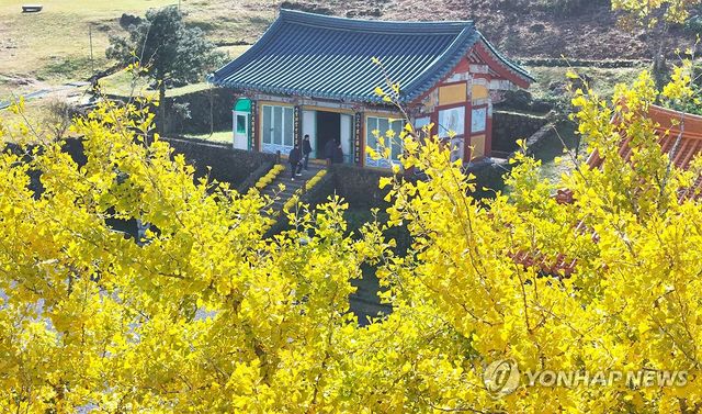 한라산 관음사의 가을