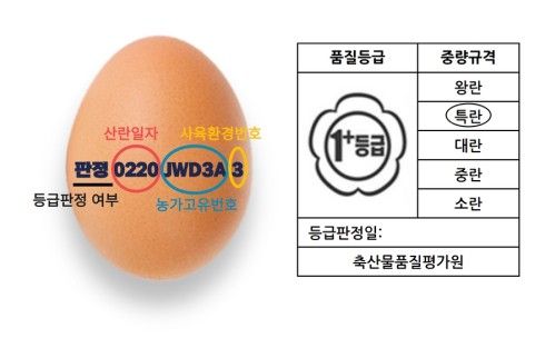 계란 난각번호와 품질 등급