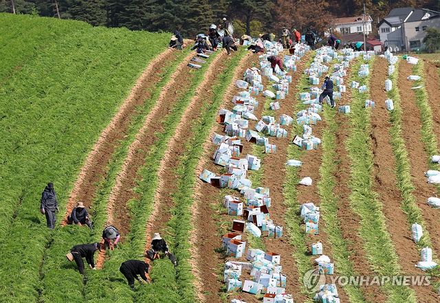 농민과 외국인 노동자들