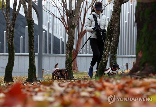 잎새 떨어지는 늦가을