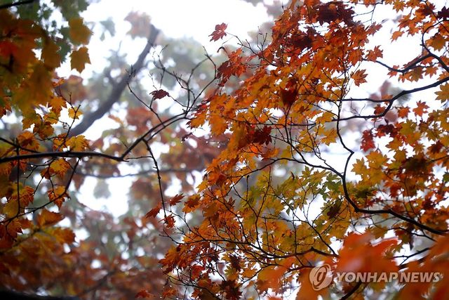 흐린 가을 날씨