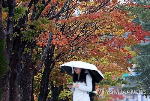 비 내리는 캠퍼스