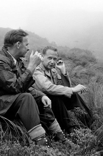 함마르셸드 2대 유엔 사무총장(오른쪽)