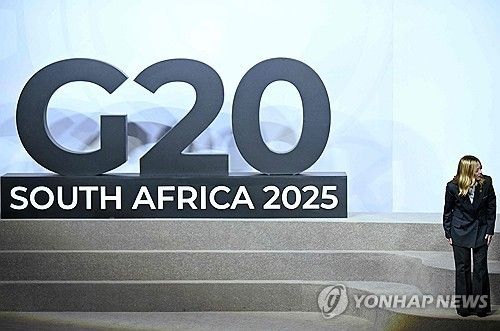 남아공 G20 정상회의 로고